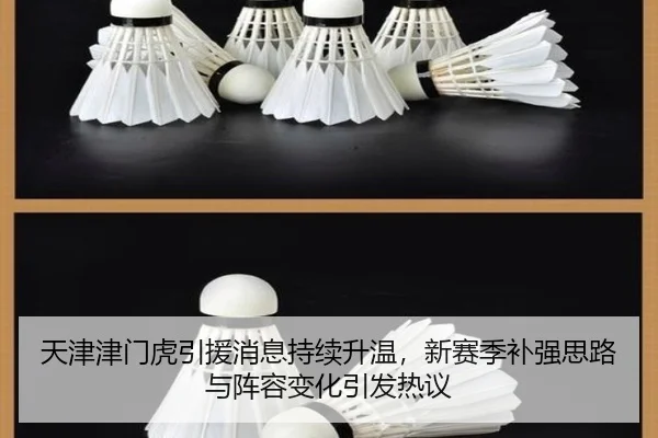 天津津门虎引援消息持续升温，新赛季补强思路与阵容变化引发热议